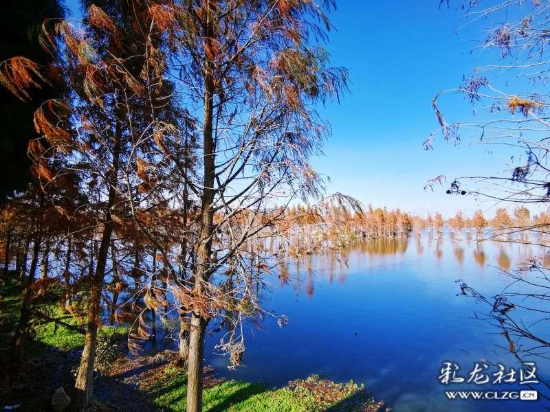 鞋王不晒鞋!塔克浅色穿搭清爽干练 红色LV包吸引眼球
