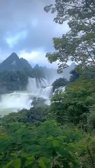 药明生物(02269)1月19日耗资约2.33亿港元回购808万股